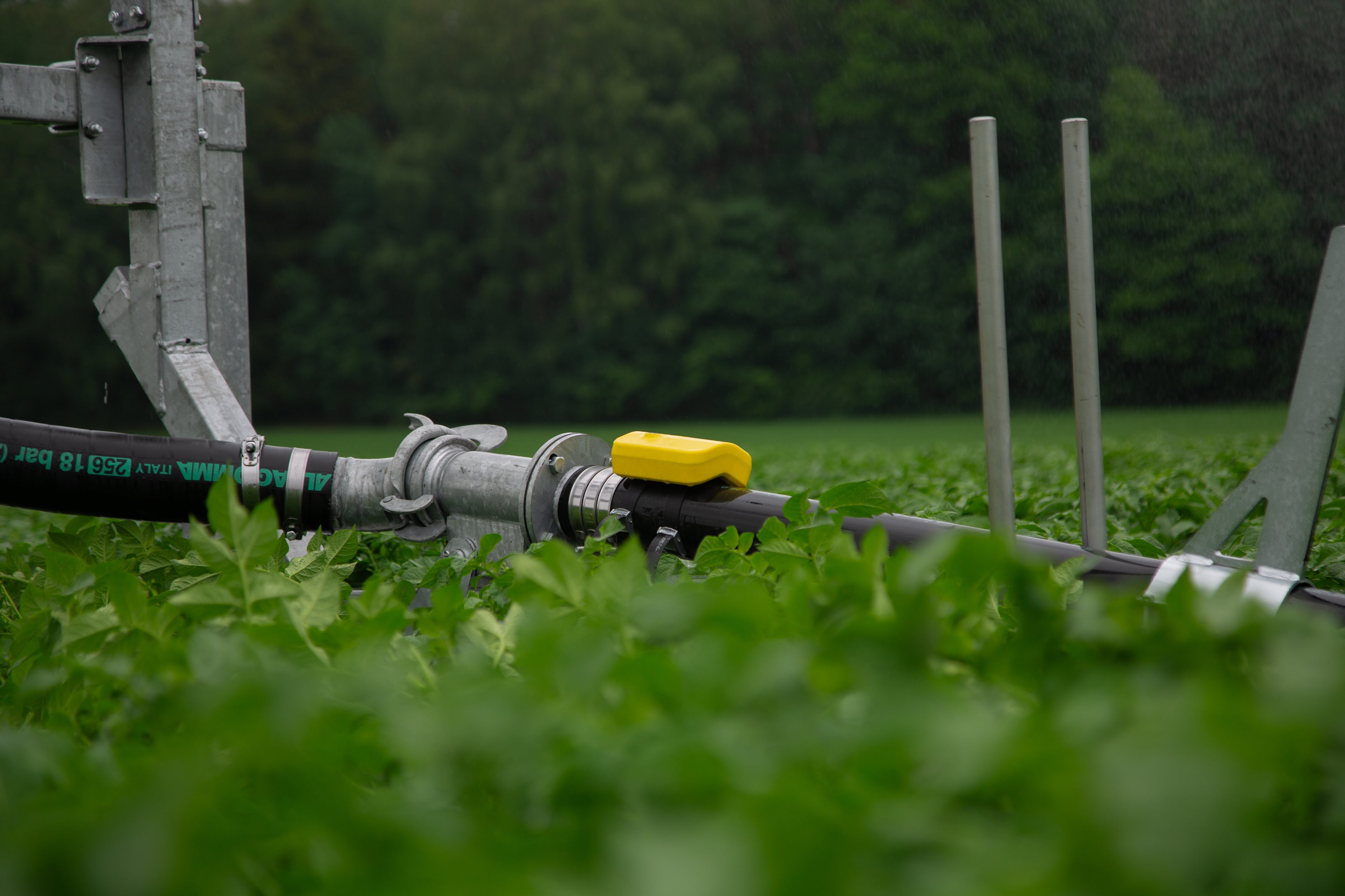 Irrigation Sensor