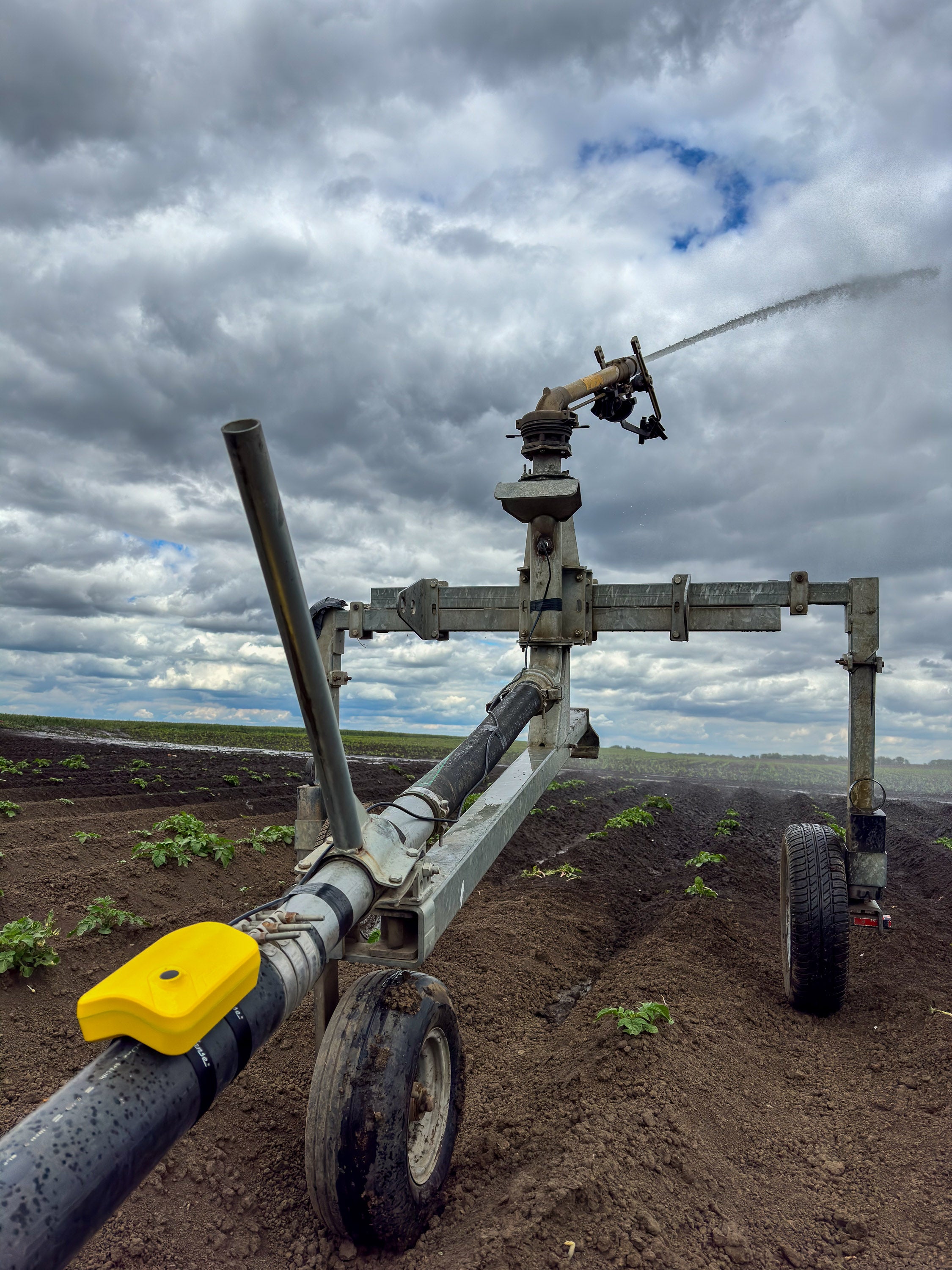 Irrigation sensor with pressure sensor